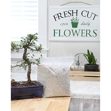 Horticultural Bonsai Pumice for Healthier Plants 4 Quarts