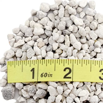 Horticultural Bonsai Pumice for Healthier Plants 4 Quarts