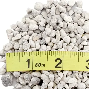 Horticultural Bonsai Pumice for Healthier Plants 4 Quarts