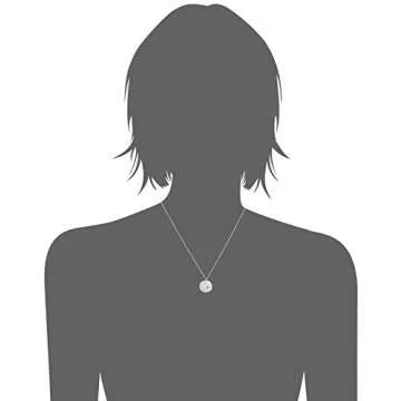 Amazon Essentials Sterling Silver "Go in the Direction Of Your Dreams" with Compass Pendant Necklace, 18" (previously Amazon Collection)