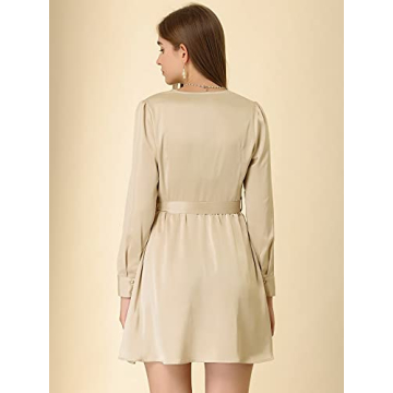 Allegra K Satin A-Line Shirt Dress for Office Wear