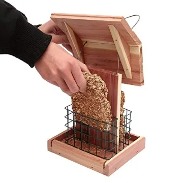 Cedar Wooden Bird Feeder for Backyard Birding