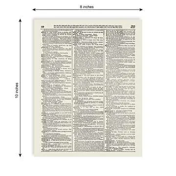 Queen Fluffy Cat Vintage Dictionary Art Print