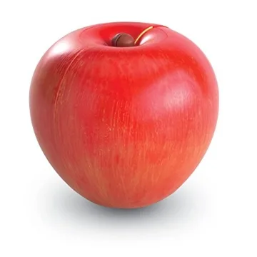 Magnetic Apple Fractions by Learning Resources - Fun Learning Toy