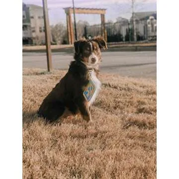 Adorable ComfyCamper Dog Halloween Collar Tag for All Pets