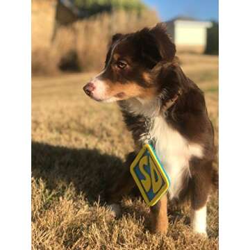 Adorable ComfyCamper Dog Halloween Collar Tag for All Pets