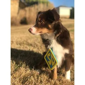 Adorable ComfyCamper Dog Halloween Collar Tag for All Pets