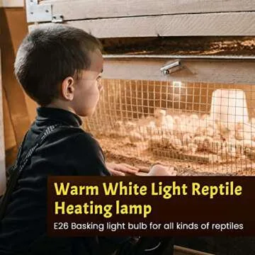 Lustaled 8Pack Heat Lamp Bulbs, 50W Reptile Heat Bulb, UVA UVB Reptile Light Bulb, E26 Dimmable Full Spectrum Sun Lamp Turtle Heat Lamp Bulb for Bearded Dragon, Chicks, Lizard, Snake, Puppies