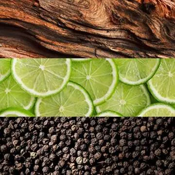 Lacoste Essential Eau de Toilette - Long Lasting Comfort