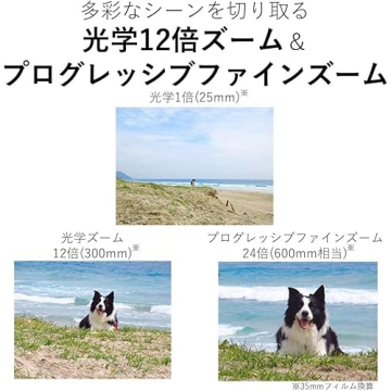 Canon PowerShot IXY 650 HS Digital Camera Bundle