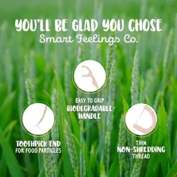 Biodegradable Dental Floss Picks 100 Count 2 Packs | Eco-Friendly Bamboo Like Straw Wheat Sustainabl...