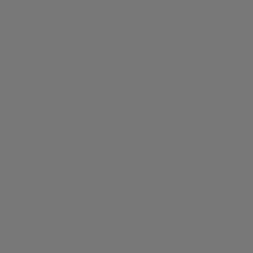 Rust-Oleum 7582838 Professional Primer Spray Paint, 15 oz, Gray Primer