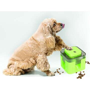 Deluxe Dog Gift Box - Perfect for Furry Celebrations