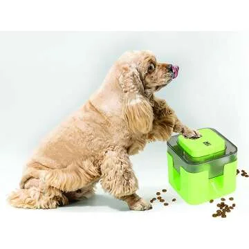 Deluxe Dog Gift Box - Perfect for Furry Celebrations