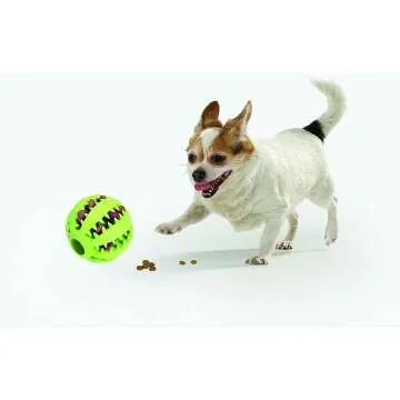 Deluxe Dog Gift Box - Perfect for Furry Celebrations