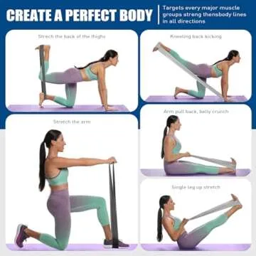 Exercise Bands, Elastic Exercise Bands for Physical Therapy Yoga Pilates at Home, Yoga, Rehab, Fitness, Resistance Bands for Working Out Women and Men, Home Workouts or The Gym Workouts