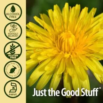 Nature's Answer Dandelion Root 2000mg Extract for Wellness