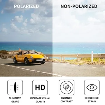 FEISEDY Sunglasses Womens, Oversized Retro Square Polarized Sunglasses, Trendy Shades UV400 B2901,Black/Grey