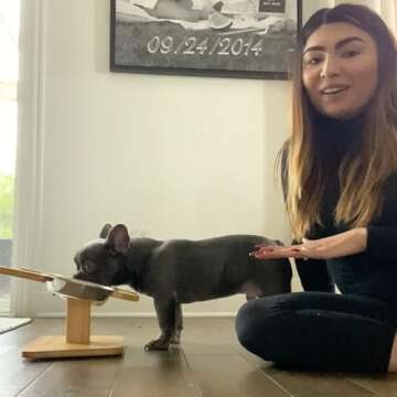 NibbleyPets Elevated Dog Bowl Stand with Stainless-Steel Food and Water Bowls (3 Pc. Set) | Stand-Up Eating and Drinking | Pet Friendly Ergonomic Design | Perfect for French Bulldogs, Pugs