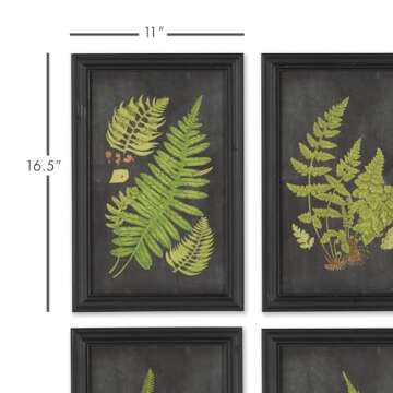 Napa Home & Garden Framed Fern Botanical Prints, Set of 9 Black