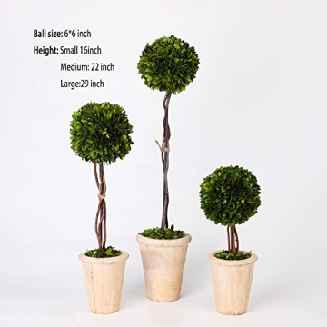 Preserved Boxwood Double Ball Topiary for Home Decor