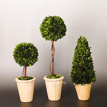 Preserved Boxwood Double Ball Topiary for Home Decor