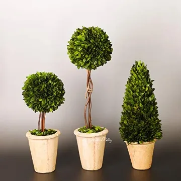 Preserved Boxwood Double Ball Topiary for Home Decor