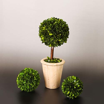 Preserved Boxwood Double Ball Topiary for Home Decor