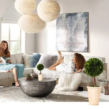 Preserved Boxwood Double Ball Topiary for Home Decor