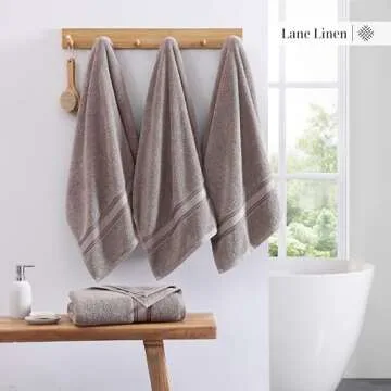 LANE LINEN Large Bath Towels - 100% Cotton Bath Sheets Extra Large, Oversized Bath Towels for Adults, Zero Twist, Quick Dry Bath Sheet Set, Body Towels, 4 Piece Bath Towel Sets for Bathroom- Platinum