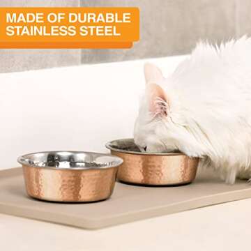 Neater Pet Brands Hammered Decorative Designer Bowls - Luxury Style Premium Dog and Cat Dishes (Large, Copper)
