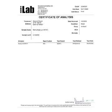 Nature's Fusions Nutri 5-MTHF L Methylfolate 15MG - 120 Tablets