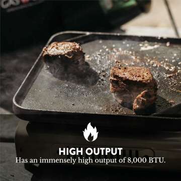 Gas One GS-3400P Portable Camping Stove