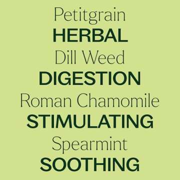 Plant Therapy KidSafe Tummy All Better Essential Oil Blend Pre-Diluted Roll-On 10 mL (1/3 oz) 100% Pure, Therapeutic Grade