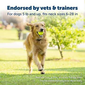 PetSafe Stay & Play Wireless Pet Fence - Waterproof Receiver Collar for Pets