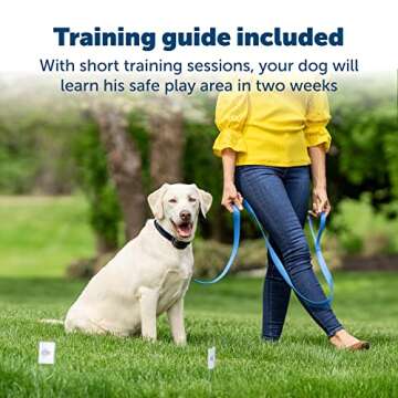 PetSafe Stay & Play Wireless Pet Fence for Dogs and Cats