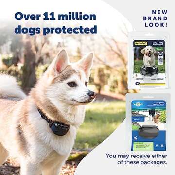 PetSafe Stay & Play Wireless Pet Fence for Dogs and Cats