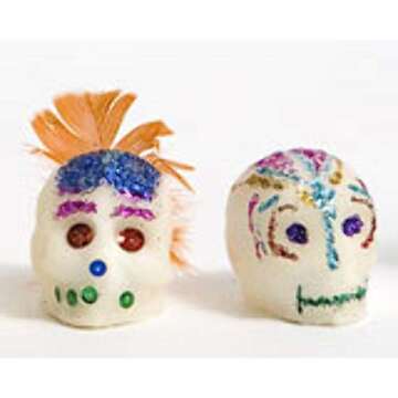 Teacher's Discovery Sugar Skull Kit
