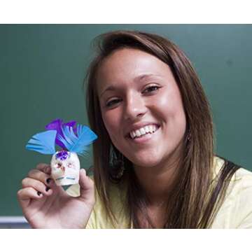Teacher's Discovery Sugar Skull Kit
