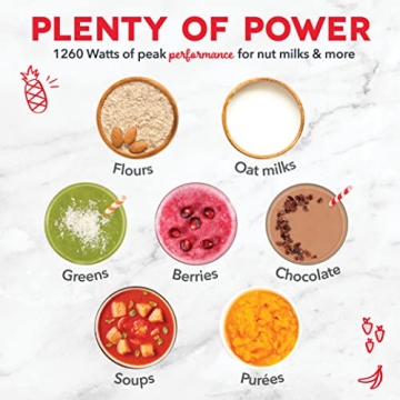 Dash Quest 50 oz Countertop Blender for Smoothies & Soups