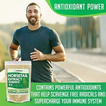 XPRS Nutra Horsetail Extract Powder for Hair, Nails, and Bones - High Potency Horsetail Root Powder - High Silica Content for Maximum Results - Vegan Friendly Horstail Extract (4 oz)