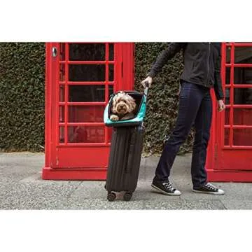 Sleepypod Air - Airline Approved Carrier for Cats and Dogs (Jet Black)