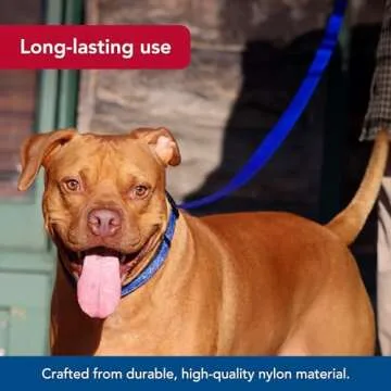 Coastal Pet Durable Single-Ply Dog Leash - Stylish & Comfortable