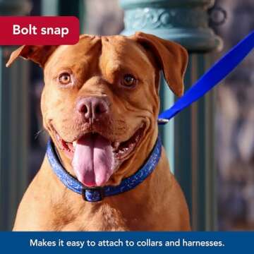 Coastal Pet Durable Single-Ply Dog Leash - Stylish & Comfortable