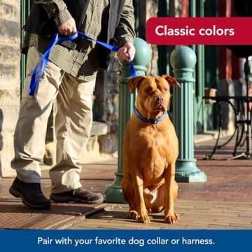 Coastal Pet Durable Single-Ply Dog Leash - Stylish & Comfortable