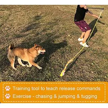 Durable Dewonch Flirt Pole for Dog Training and Exercise