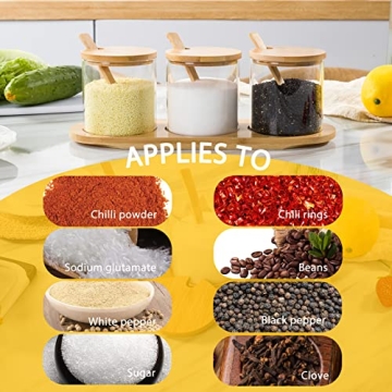 HONGCHU Condiment Containers with Bamboo Spoons - 6 Pack Set