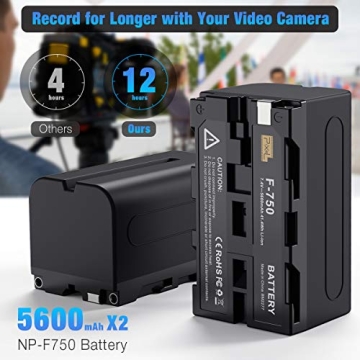 Switti NP-F750 Battery Charger Set for All Videography Needs