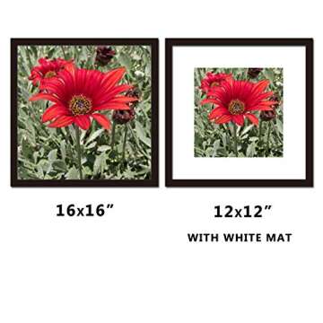 SKAOTUS 16x16 Picture Frame Black Solid Wood for Mat 12x12 Wall Mounting Square Poster Photo Frames…