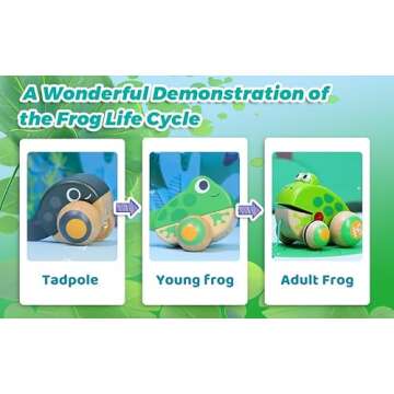 Hape Pull Along Frog Family with Anti-Rollover Wheels, Toddler Push and Pull Toys